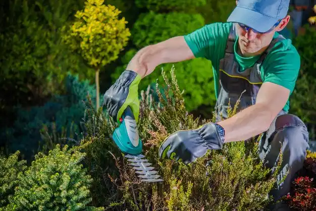 landscaping services Liberty Center